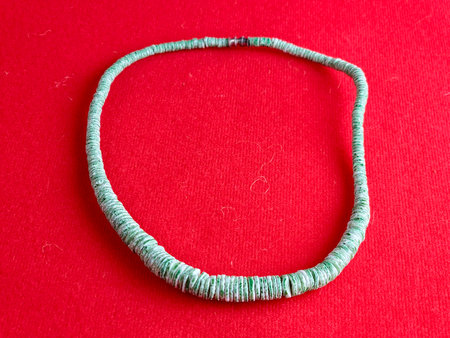 Handmade polished green shell pieces necklace as gift for a woman on a red background. Natural jewelry. Summer jewelry.の写真素材