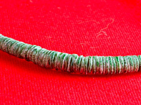 Handmade polished green shell pieces necklace as a gift for woman on a red background. Natural jewelry. Summer jewelry.の写真素材