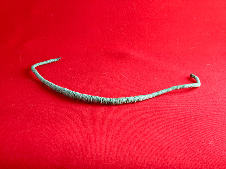 Handmade polished green shell pieces necklace as a gift for a woman on red background. Natural jewelry. Summer jewelry.の写真素材