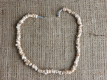 Handmade polished beige shell pieces necklace as a gift for a woman on a beige background. Natural jewelry. Summer jewelry.の写真素材