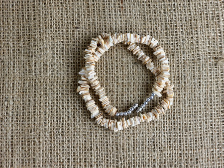 Handmade polished beige shell pieces necklace as a gift for woman on a beige background. Natural jewelry. Summer jewelry.の写真素材