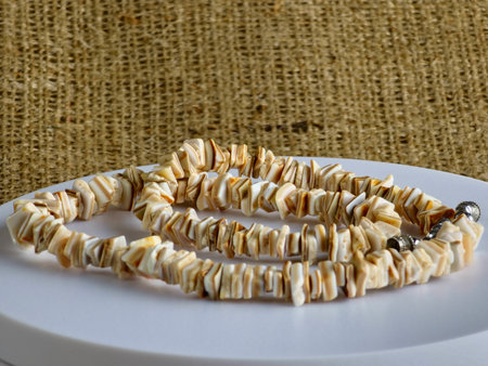 Handmade polished beige shell pieces necklace as a gift for woman on beige background. Natural jewelry. Summer jewelry.の写真素材