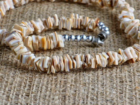 Handmade polished beige shell pieces necklace as a gift for a woman on a beige background. Natural jewelry. Summer jewelry.の写真素材