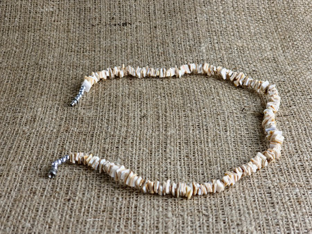 Handmade polished beige shell pieces necklace as a gift for a woman on beige background. Natural jewelry. Summer jewelry.の写真素材