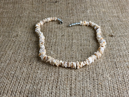 Handmade polished beige shell pieces necklace as a gift for a woman on a white background. Natural jewelry. Summer jewelry.の写真素材