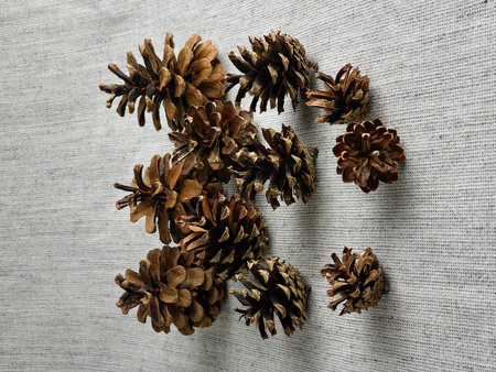 Pine cones of different sizes on a burlap background. Close-up.の写真素材