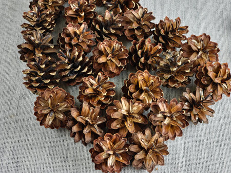 Pine cones on burlap background. Close-up.の写真素材