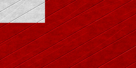 The official flag of Abu Dhabi, the capital of the United Arab Emirates, on wood texture. Conceptual collage. Illustration.の写真素材