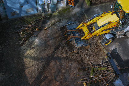 A bulldozer collects branches after pruning trees. View from above.