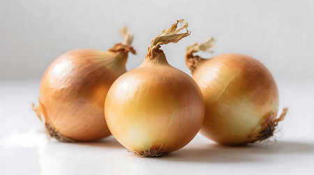 Three ripe yellow onions with their dry papery skins are arranged on a clean, light surface, showcasing their natural texture and colorの素材