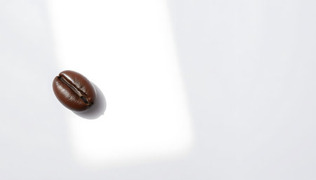 A single, glossy coffee bean sits against a stark white background with soft shadow accents.の素材