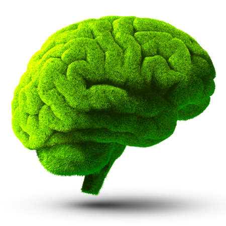The human brain is covered with green grass  The metaphor of the wild, natural or imperfect intelligence  Isolated on white background with shadowの写真素材