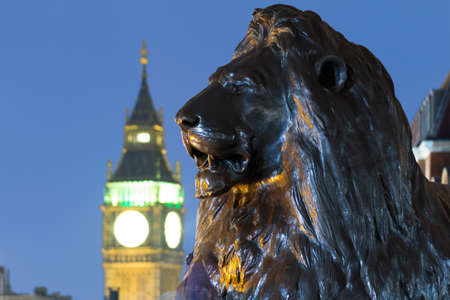Lion sculpture at Nelson's Column Memorial, Trafalgar Square with Big Ben in the background. London, UKの写真素材