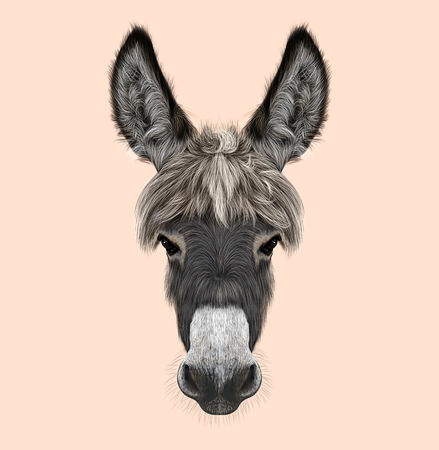 Illustrated portrait of grey Donkey on pink backgroundの写真素材