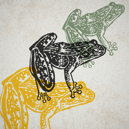 Engraved Frogs in different colors on old paperのイラスト素材