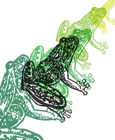 Engraved Frogs in different colors on white backgroundのイラスト素材