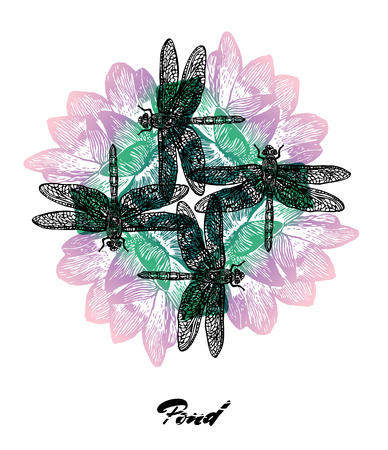 Bright colored composition with dragonfly and water lilyのイラスト素材