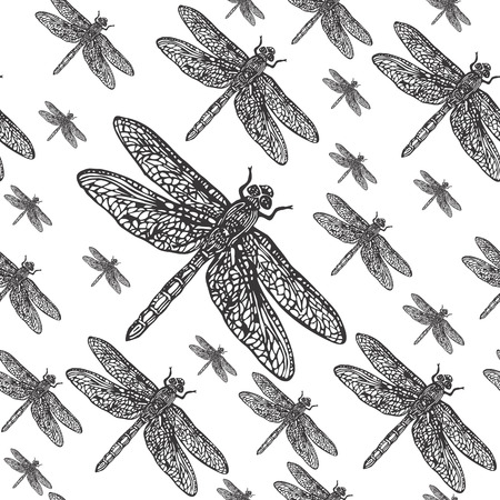 Dragonflies black and white seamless vector pattern. Realistic engraved style.のイラスト素材