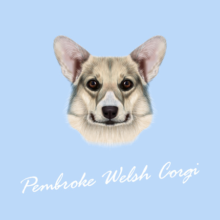 Cute grey dog face on blue backgroundのイラスト素材
