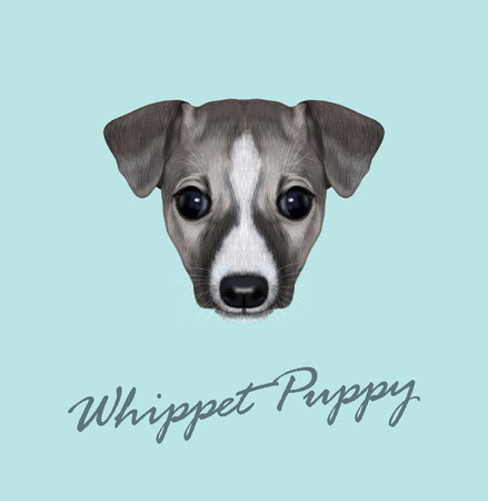 Cute face of domestic dog on blue background.のイラスト素材