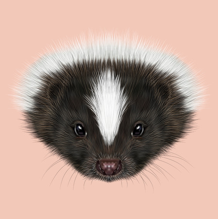 Cute face of Striped skunk on pink background.の写真素材