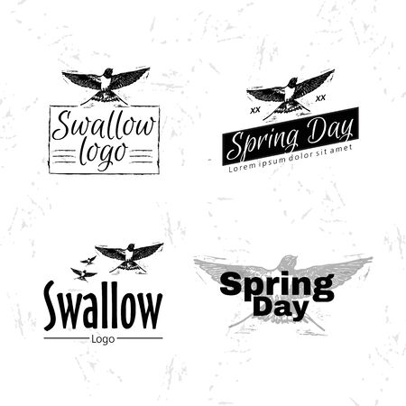 Swallow or martlet bird as main elementのイラスト素材