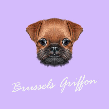 Cute bearded face of domestic dog on violet background.のイラスト素材