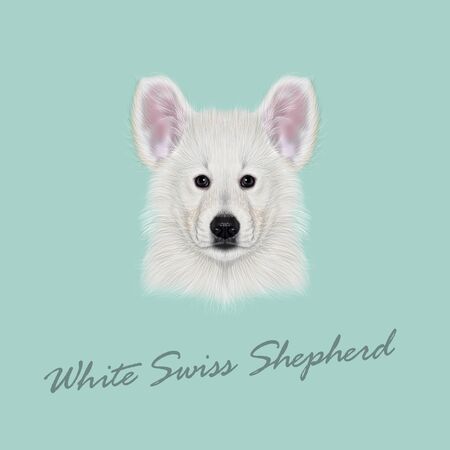 Illustrated Portrait of White Swiss Shepherd dog. Cute white fluffy face of domestic puppy on blue background.のイラスト素材
