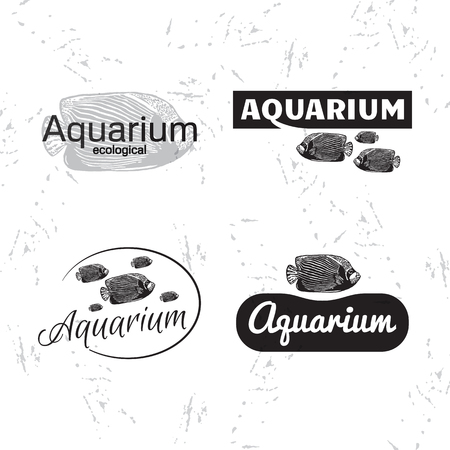 Vector black and white logo set with Emperor angelfish. The fish as main element of logotypes on white backgroundのイラスト素材