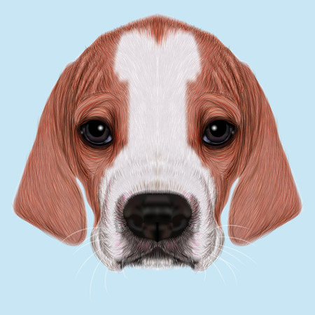 Illustrated Portrait of English Pointer puppy. Cute bicolor short hair domestic dog on blue background.の写真素材