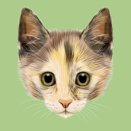Illustrated portrait of Domestic cat. Cute turtle color fluffy face of kitten on green background.の写真素材