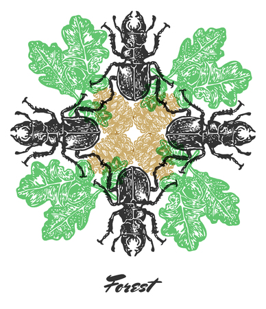Vector Forest mood Engraved fractal outlet composition. Bright colored composition with forest stag beetle, pine cone and oak leavesのイラスト素材