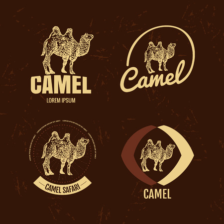 Vector black and white set with desert camel.のイラスト素材