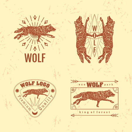 Vector colorful set with forest wolf.のイラスト素材