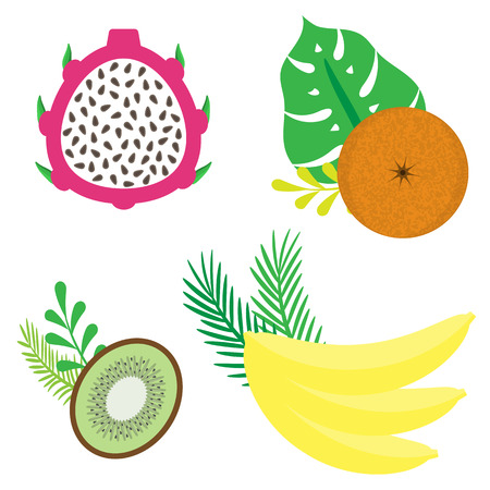 Vector set of tropical fruits and plants, isolated on white background.のイラスト素材