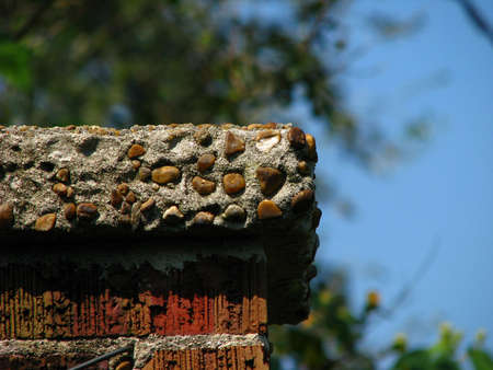 close up of wall in gardenの写真素材