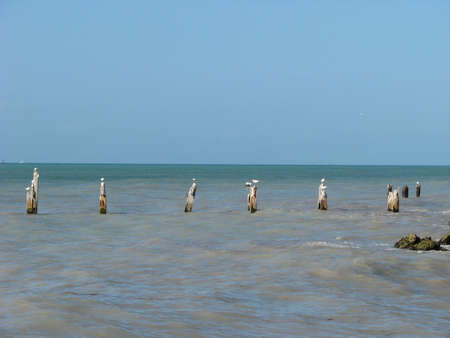ocean postsの写真素材
