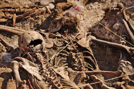 In 1936, just at the beginning of the Spanish Civil War, dozens of non-fascist Citizens Were Carried from Burgos to mount Estepar. Over there, They Were shot by a platoon of Franco's army and buried in a mass grave Until 2014-2015.のeditorial素材