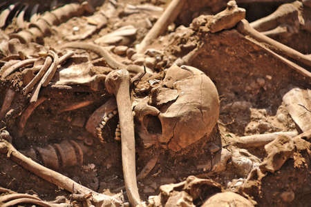 In 1936, just at the beginning of the Spanish Civil War, dozens of non-fascist Citizens Were Carried from Burgos to mount Estepar. Over there, They Were shot by a platoon of Franco's army and buried in a mass grave Until 2014-2015.のeditorial素材