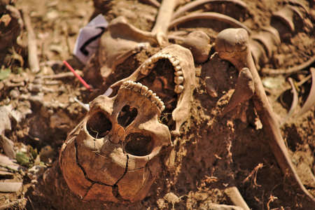 In 1936, just at the beginning of the Spanish Civil War, dozens of non-fascist Citizens Were Carried from Burgos to mount Estepar. Over there, They Were shot by a platoon of Franco's army and buried in a mass grave Until 2014-2015.のeditorial素材