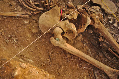 In 1936, just at the beginning of the Spanish Civil War, dozens of non-fascist Citizens Were Carried from Burgos to mount Estepar. Over there, They Were shot by a platoon of Franco's army and buried in a mass grave Until 2014-2015.のeditorial素材