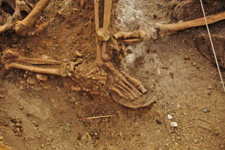 In 1936, just at the beginning of the Spanish Civil War, dozens of non-fascist Citizens Were Carried from Burgos to mount Estepar. Over there, They Were shot by a platoon of Franco's army and buried in a mass grave Until 2014-2015.のeditorial素材