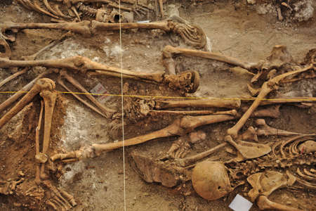 In 1936, just at the beginning of the Spanish Civil War, dozens of non-fascist Citizens Were Carried from Burgos to mount Estepar. Over there, They Were shot by a platoon of Franco's army and buried in a mass grave Until 2014-2015.のeditorial素材