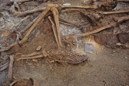 In 1936, just at the beginning of the Spanish Civil War, dozens of non-fascist Citizens Were Carried from Burgos to mount Estepar. Over there, They Were shot by a platoon of Franco's army and buried in a mass grave Until 2014-2015.のeditorial素材