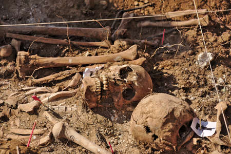 In 1936, just at the beginning of the Spanish Civil War, dozens of non-fascist Citizens Were Carried from Burgos to mount Estepar. Over there, They Were shot by a platoon of Franco's army and buried in a mass grave Until 2014-2015.のeditorial素材