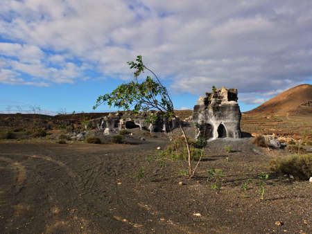 Guatiza teguis volcanic stones at Lanzarote Canary Islands, Spainの写真素材