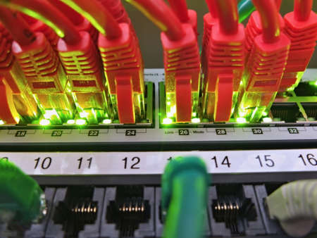 Network Cables connected to server with LED signalization
