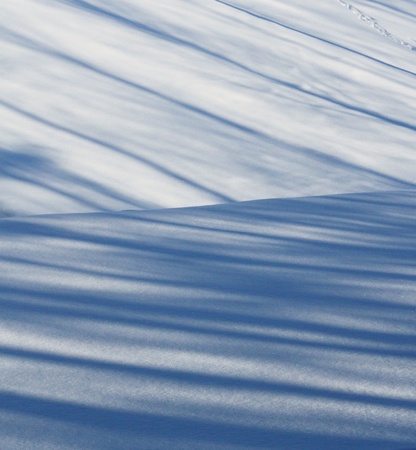 Diagonal blue shadows on newly fallen pure white snowの写真素材