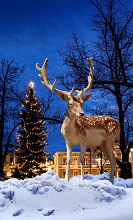 Christmas deer small town Xmas tree backgroundの写真素材