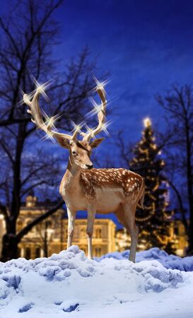 Christmas deer with illuminated star light horns in snowy townの写真素材